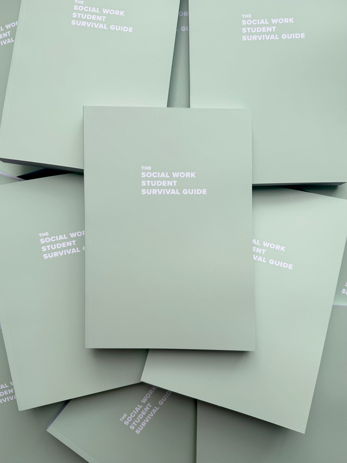 The Social Work Student Survival Guide