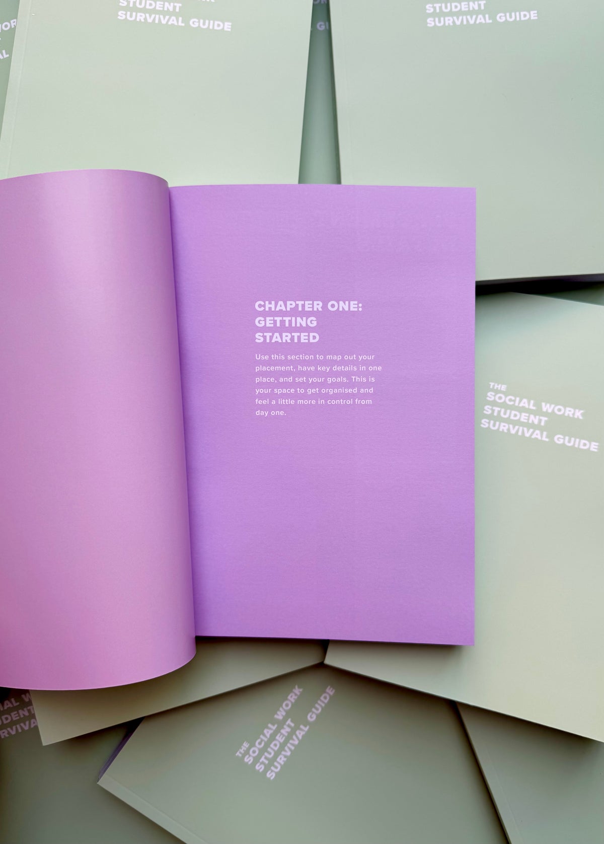 The Social Work Student Survival Guide